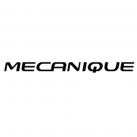 MECANIQUE RENAULT CLIO III RS 197 PH1